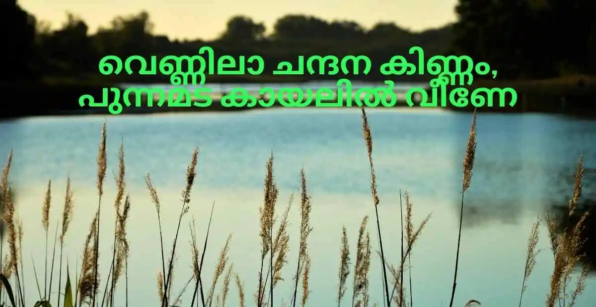 Vennila chandana kinnam lyrics Malayalam